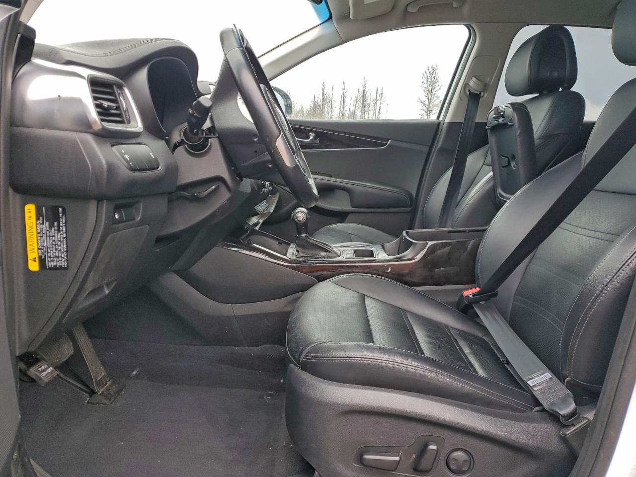 2016 Kia Sorento Ex VIN: 5XYPHDA17GG020790 Lot: 85756015