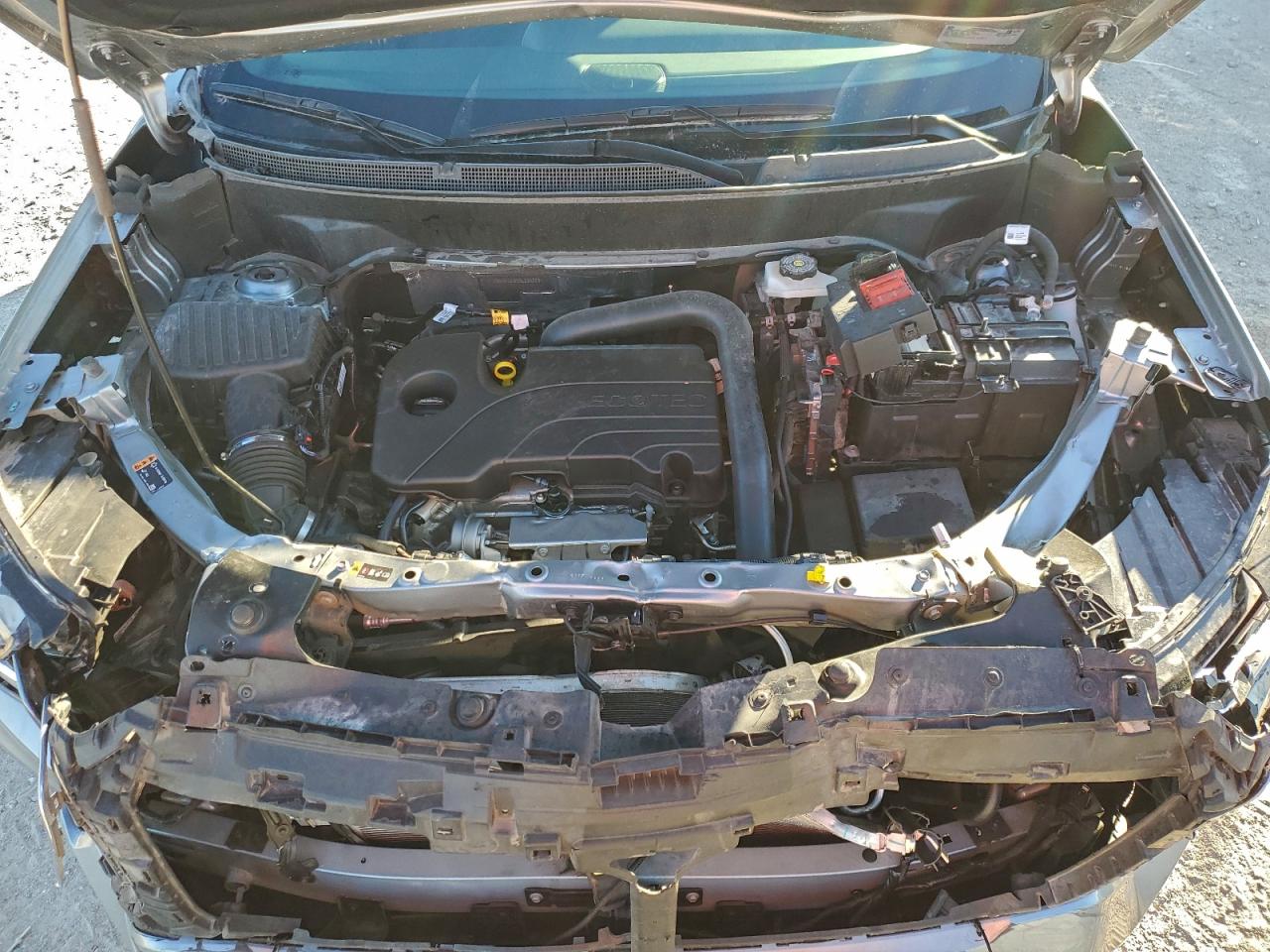 2025 GMC Terrain Elevation VIN: 3GKALUEG9SL238223 Lot: 97120385