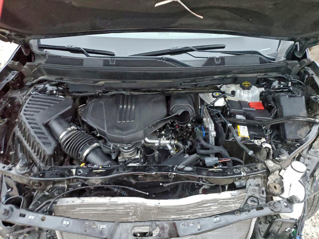 2024 Chevrolet Traverse Ls VIN: 1GNEVEKS6RJ191439 Lot: 95627235