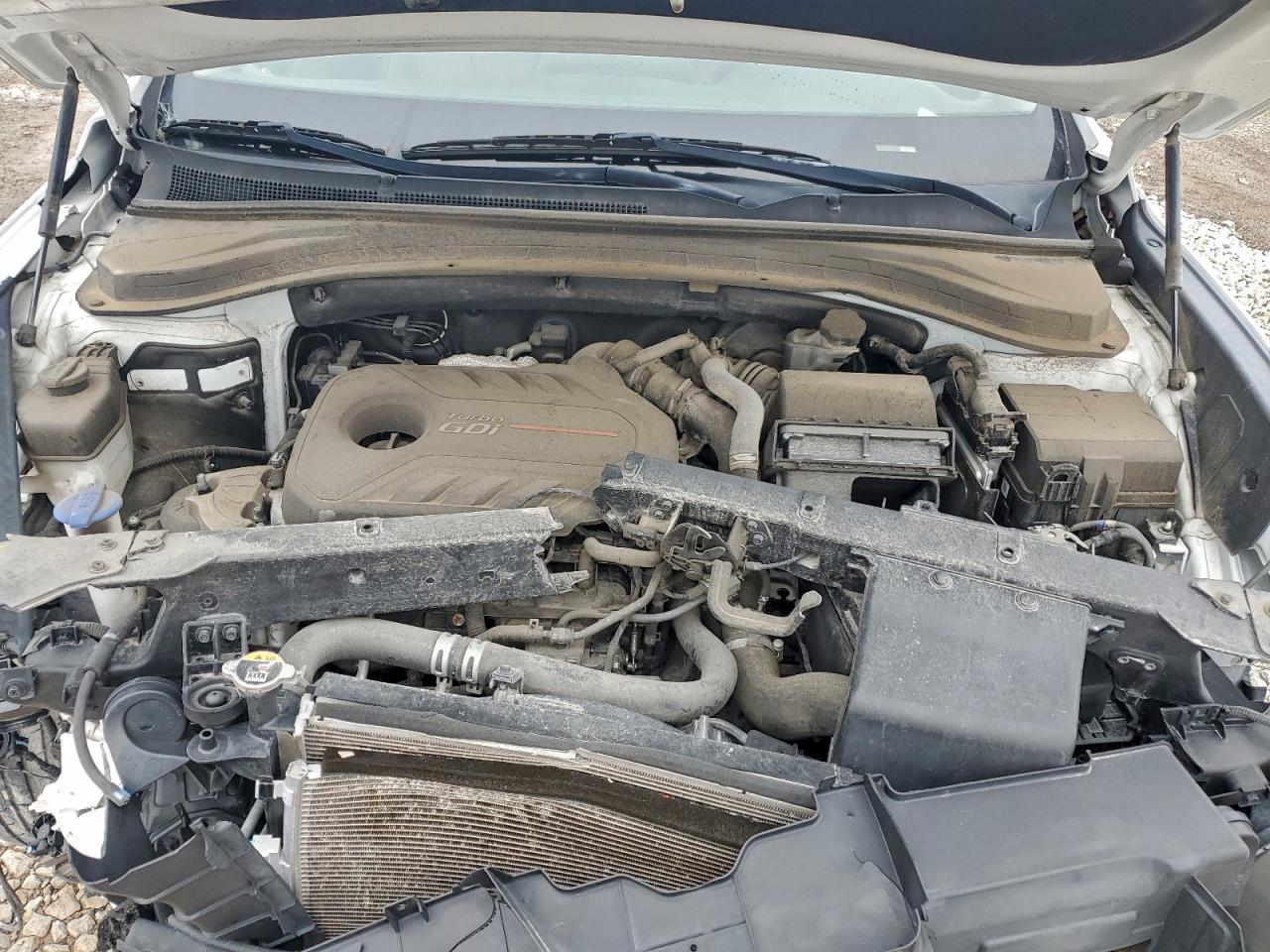 2020 Hyundai Santa Fe Sel VIN: 5NMS33AA2LH252393 Lot: 94824725