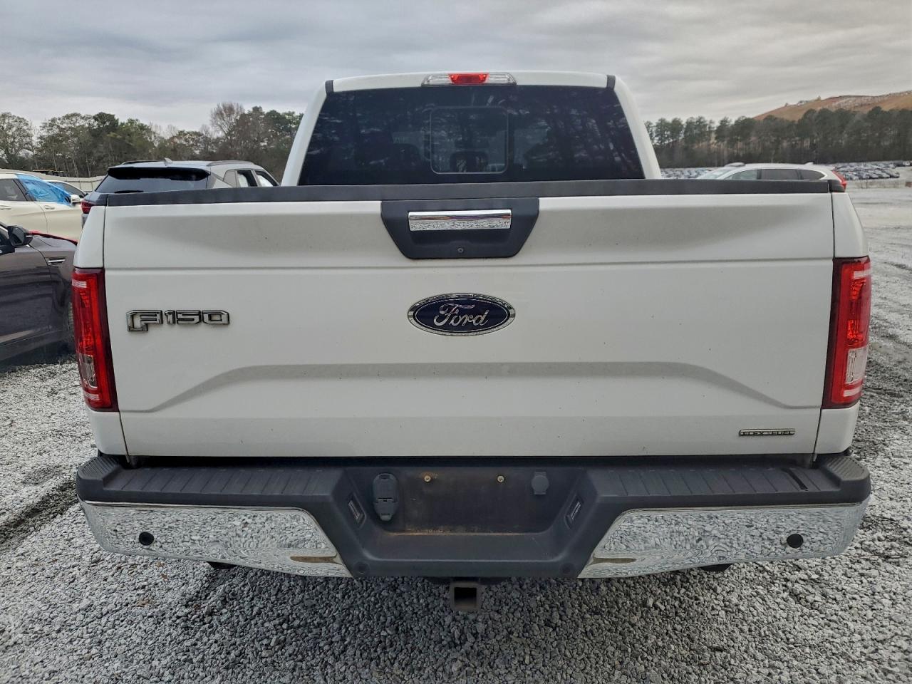 2015 Ford F150 Supercrew VIN: 1FTEW1CF9FFC19099 Lot: 94354405