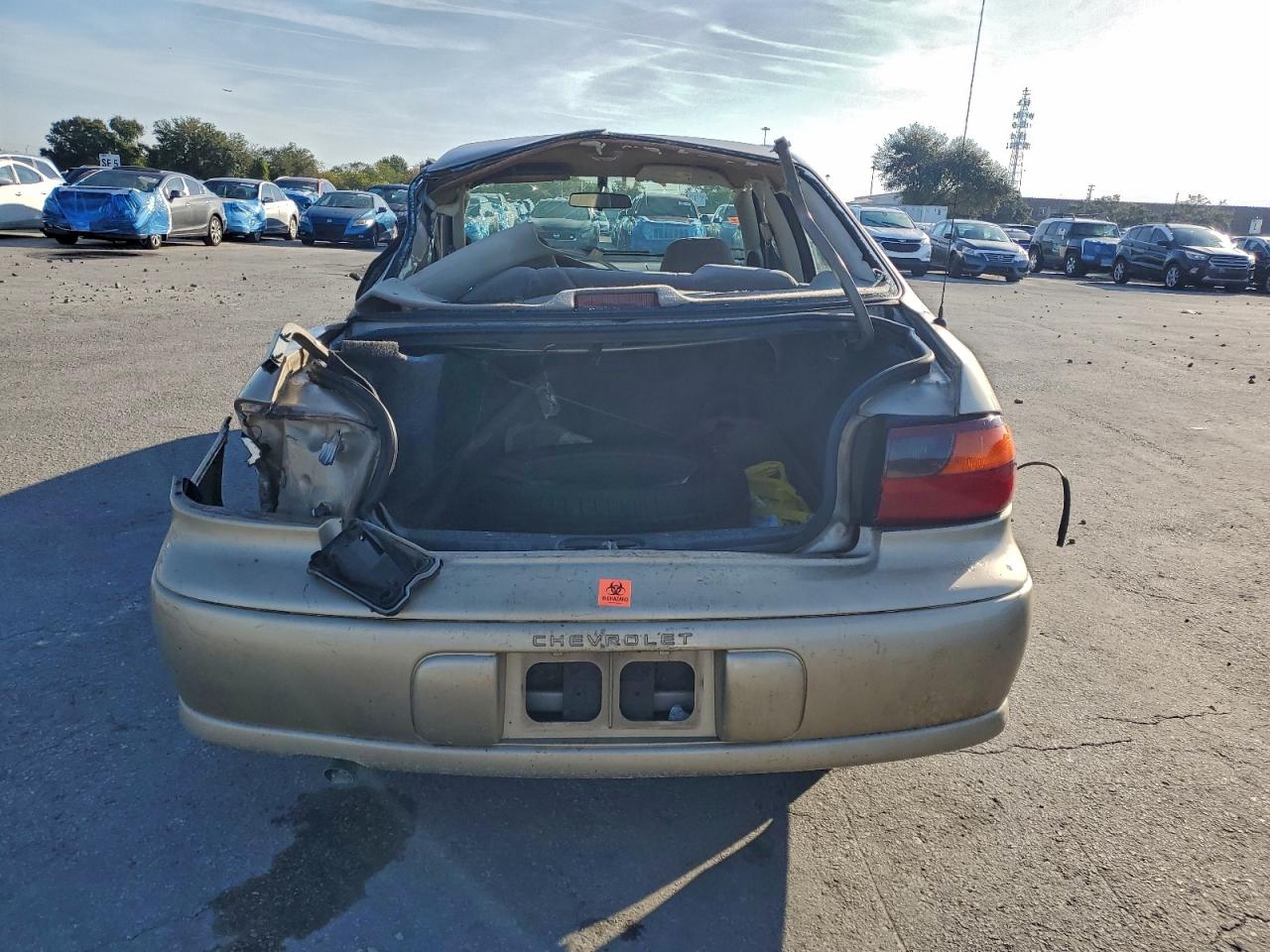 2005 Chevrolet Classic VIN: 1G1ND52F05M126019 Lot: 95450965