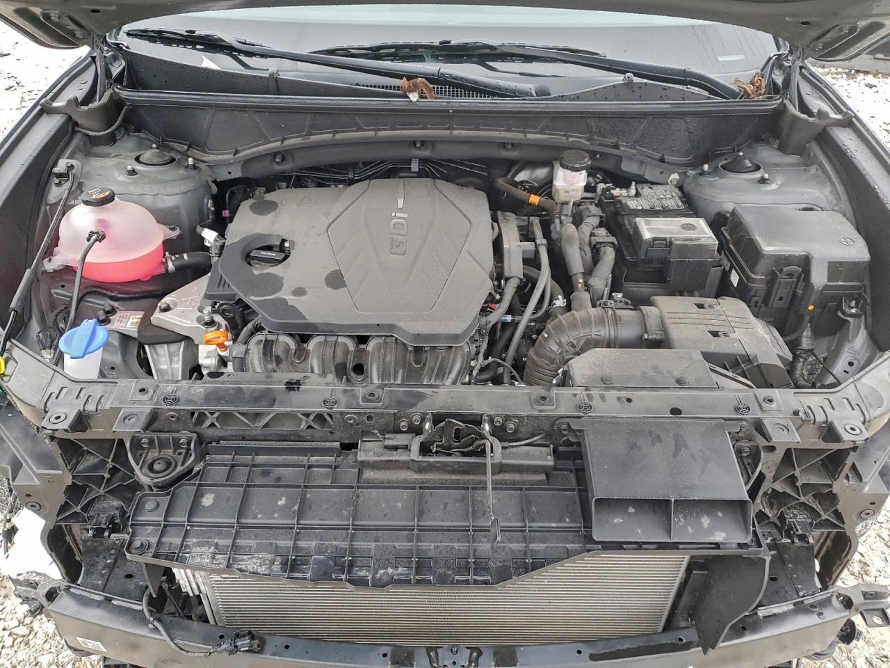 2024 Hyundai Tucson Se VIN: 5NMJA3DE9RH439977 Lot: 94876895