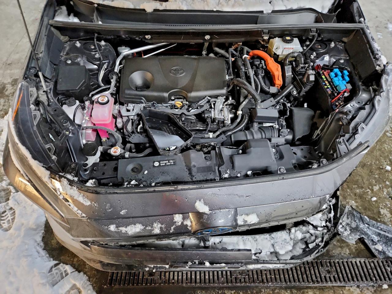 2019 Toyota Rav4 Le VIN: 2T3MWRFV5KW025336 Lot: 95011365