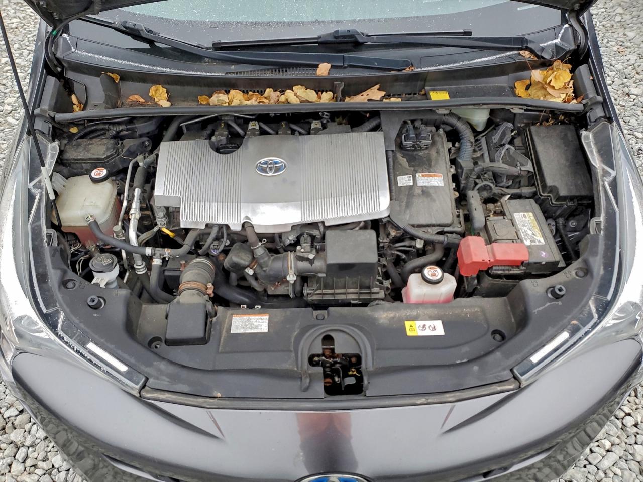 2016 Toyota Prius VIN: JTDKARFU7G3023613 Lot: 94982865