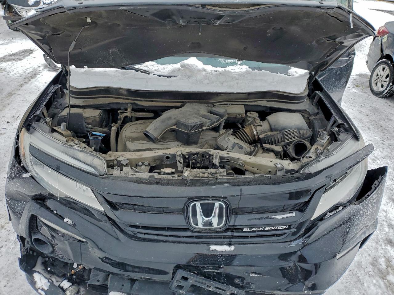 2020 Honda Pilot Elite VIN: 5FNYF6H03LB503388 Lot: 95925515