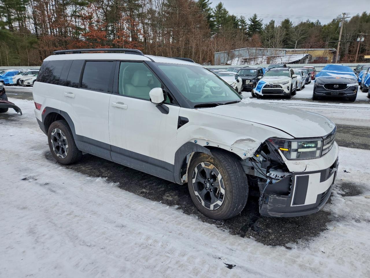 2024 Hyundai Santa Fe Sel VIN: 5NMP2DGL7RH013745 Lot: 97447895
