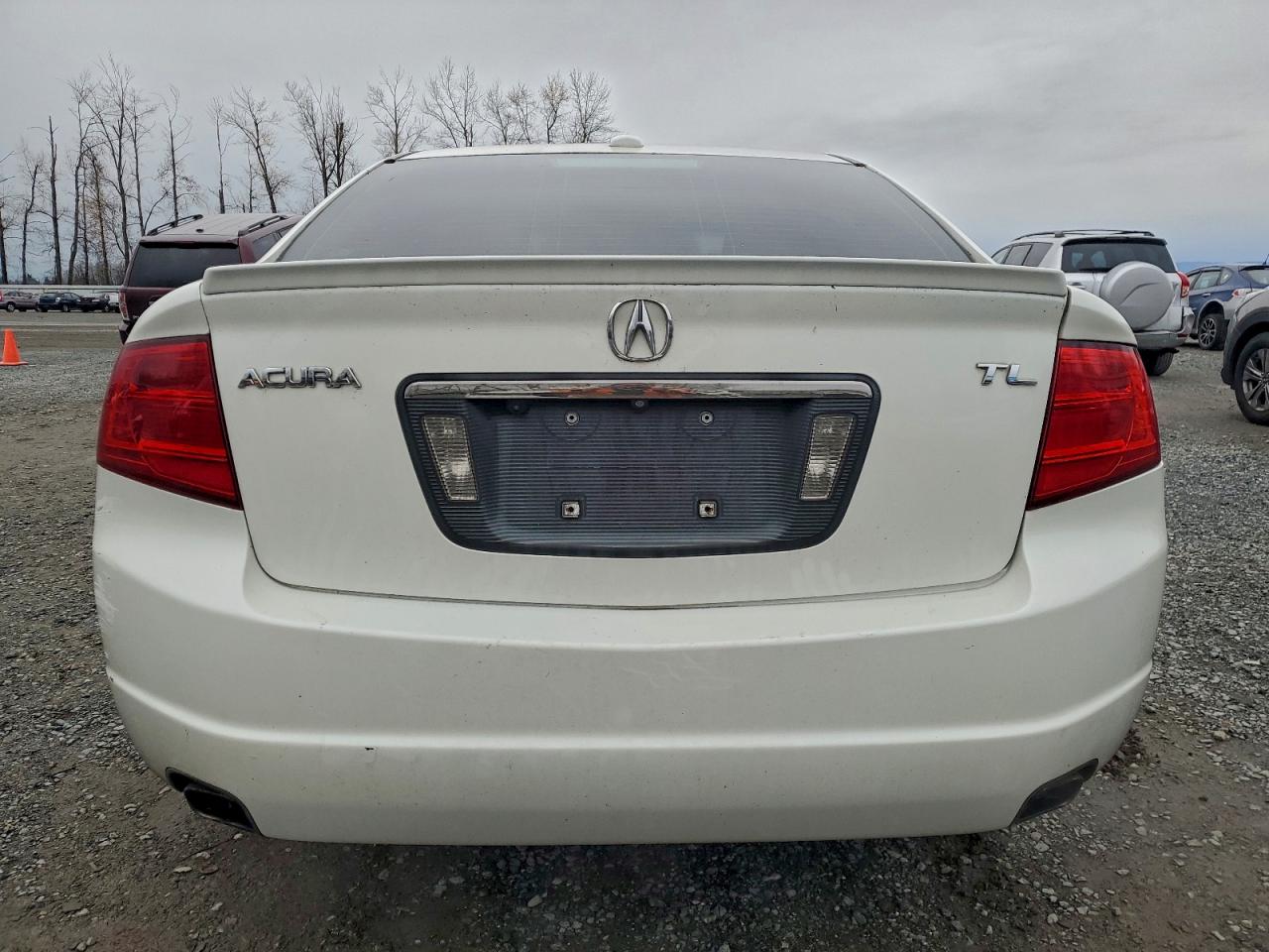 2006 Acura 3.2Tl VIN: 19UUA66216A063977 Lot: 95096655