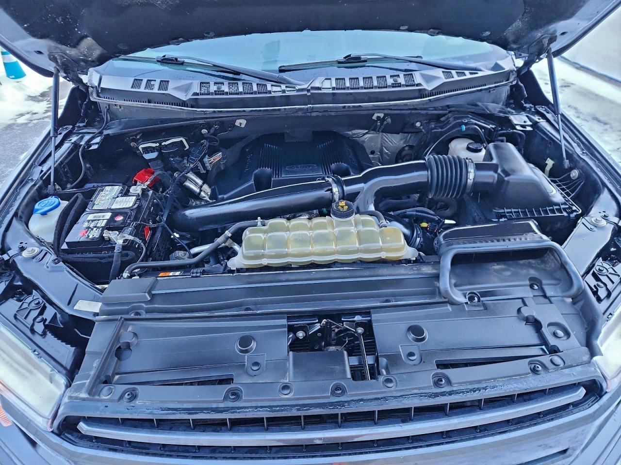 2019 Ford F150 Super Cab VIN: 1FTFX1E47KKF04821 Lot: 95506505