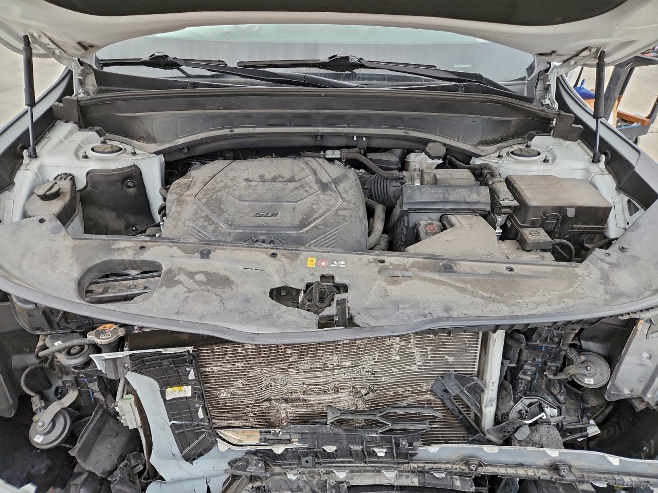 2021 Kia Telluride S VIN: 5XYP6DHC0MG144196 Lot: 95394355