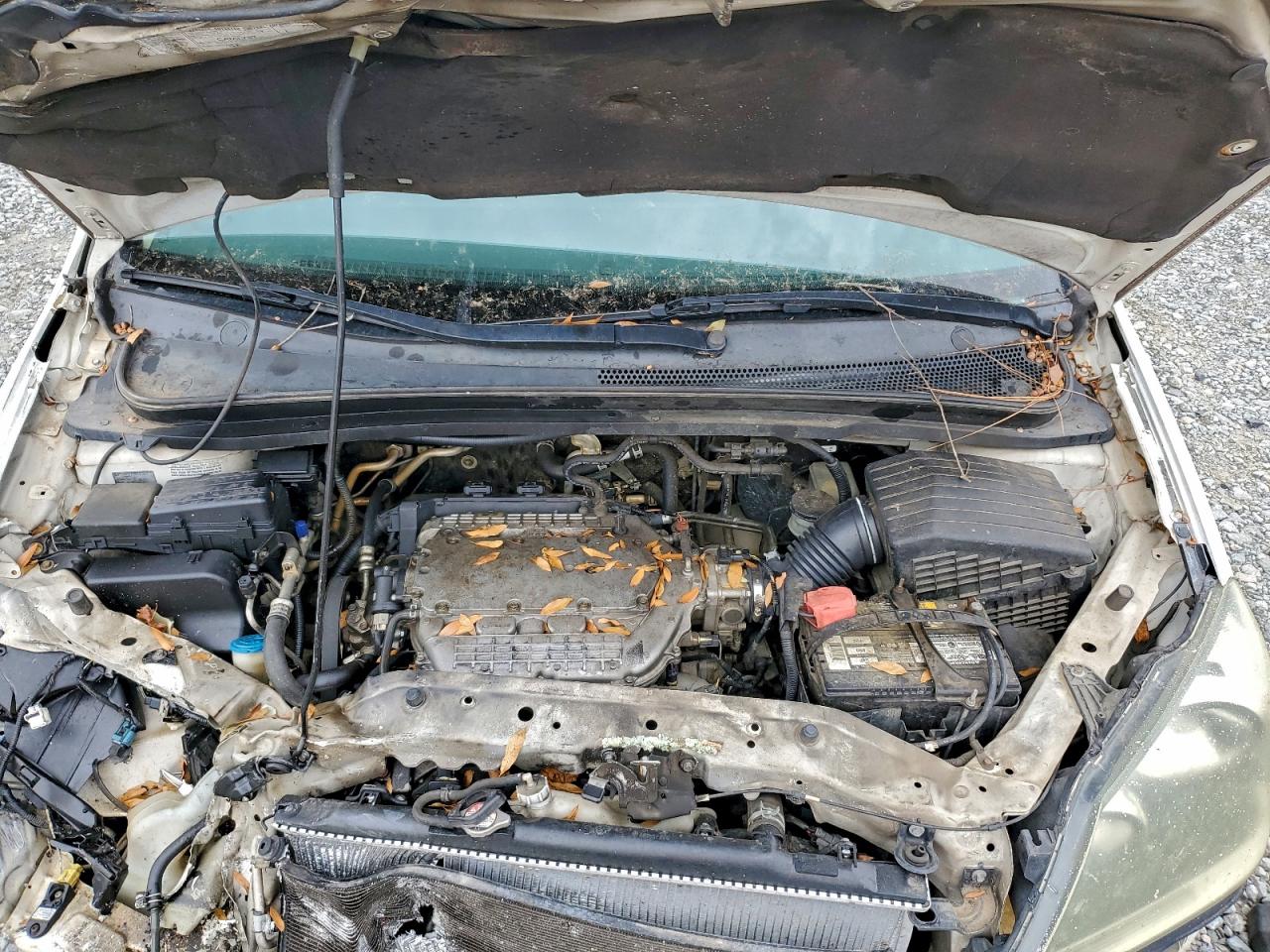 2006 Honda Odyssey Exl VIN: 5FNRL38686B417966 Lot: 92211305