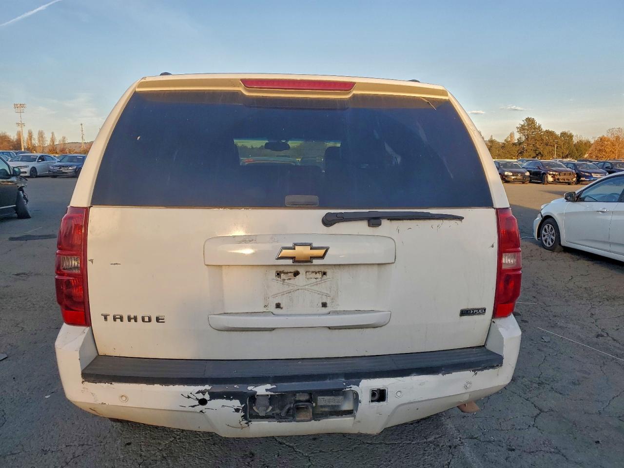 2007 Chevrolet Tahoe K1500 VIN: 1GNFK13067J295137 Lot: 95393135