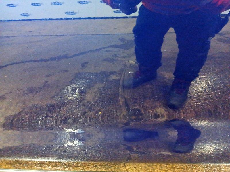 2021 FIAT 500X 1.0 CROSS PLUS 5DR