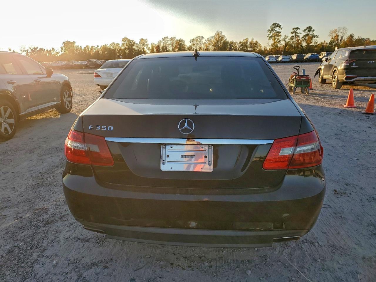 2010 Mercedes-Benz E 350 VIN: WDDHF5GB2AA193193 Lot: 96629275