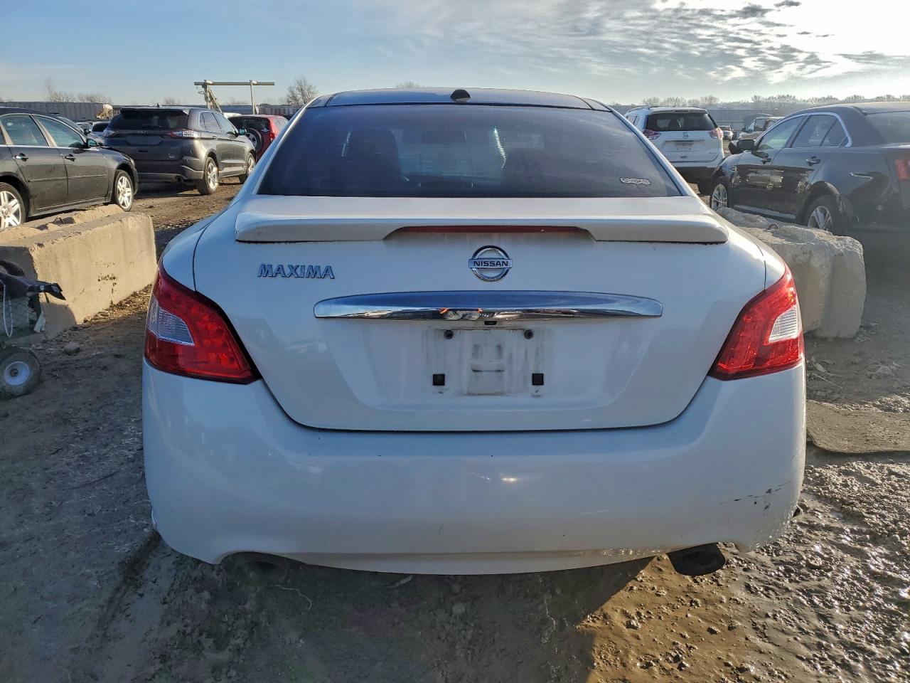 2009 Nissan Maxima S VIN: 1N4AA51E59C824487 Lot: 96256185
