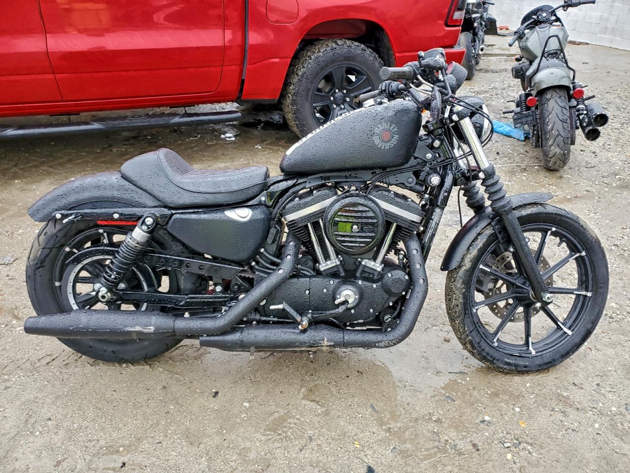 2022 Harley-Davidson Xl883 N