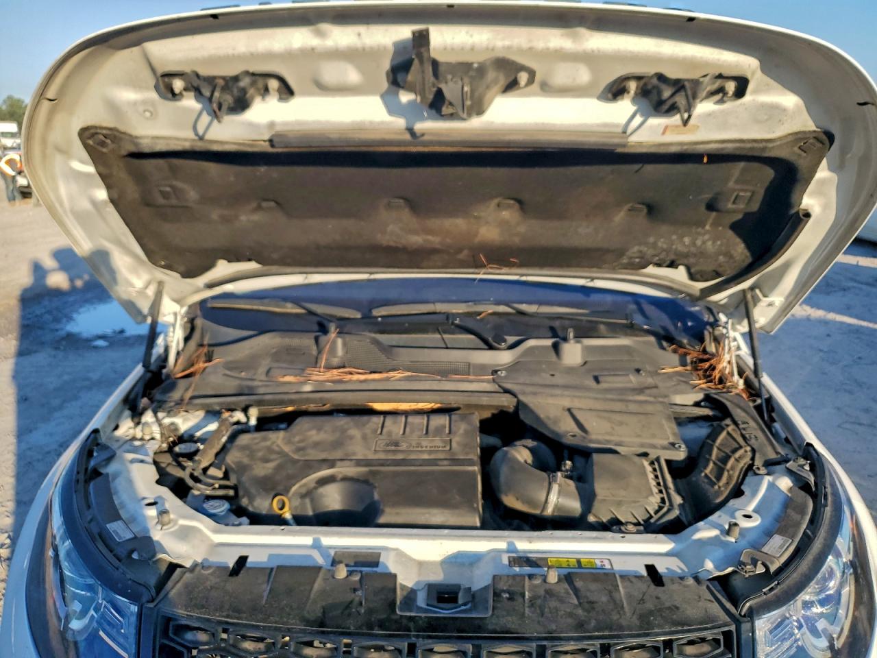 2018 Land Rover Discovery Sport Hse VIN: SALCR2SXXJH755452 Lot: 96122905