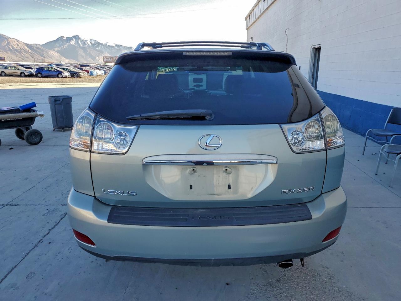 2007 Lexus Rx 350 VIN: 2T2GK31U67C006893 Lot: 96303085