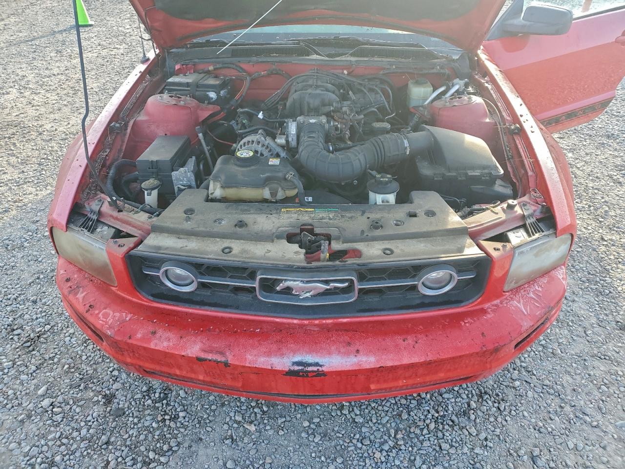 2006 Ford Mustang VIN: 1ZVFT80N665131860 Lot: 96371475