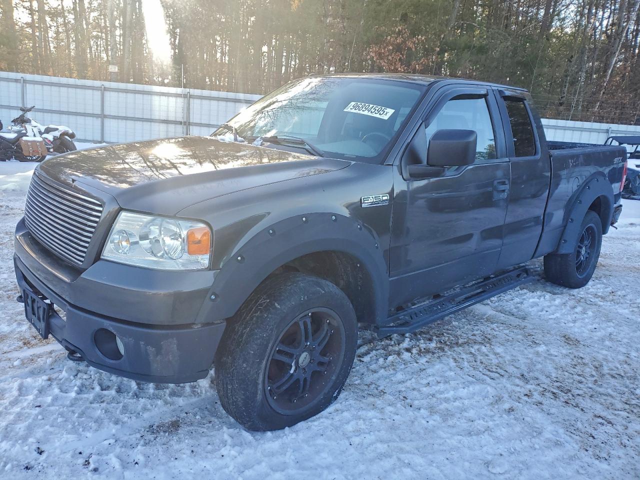 2006 Ford F150 VIN: 1FTRX14W36FA29389 Lot: 96894595