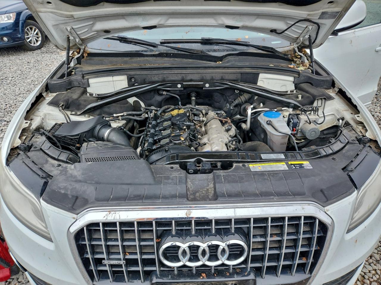 2013 Audi Q5 Premium Plus VIN: WA1LFAFP8DA047714 Lot: 96782295