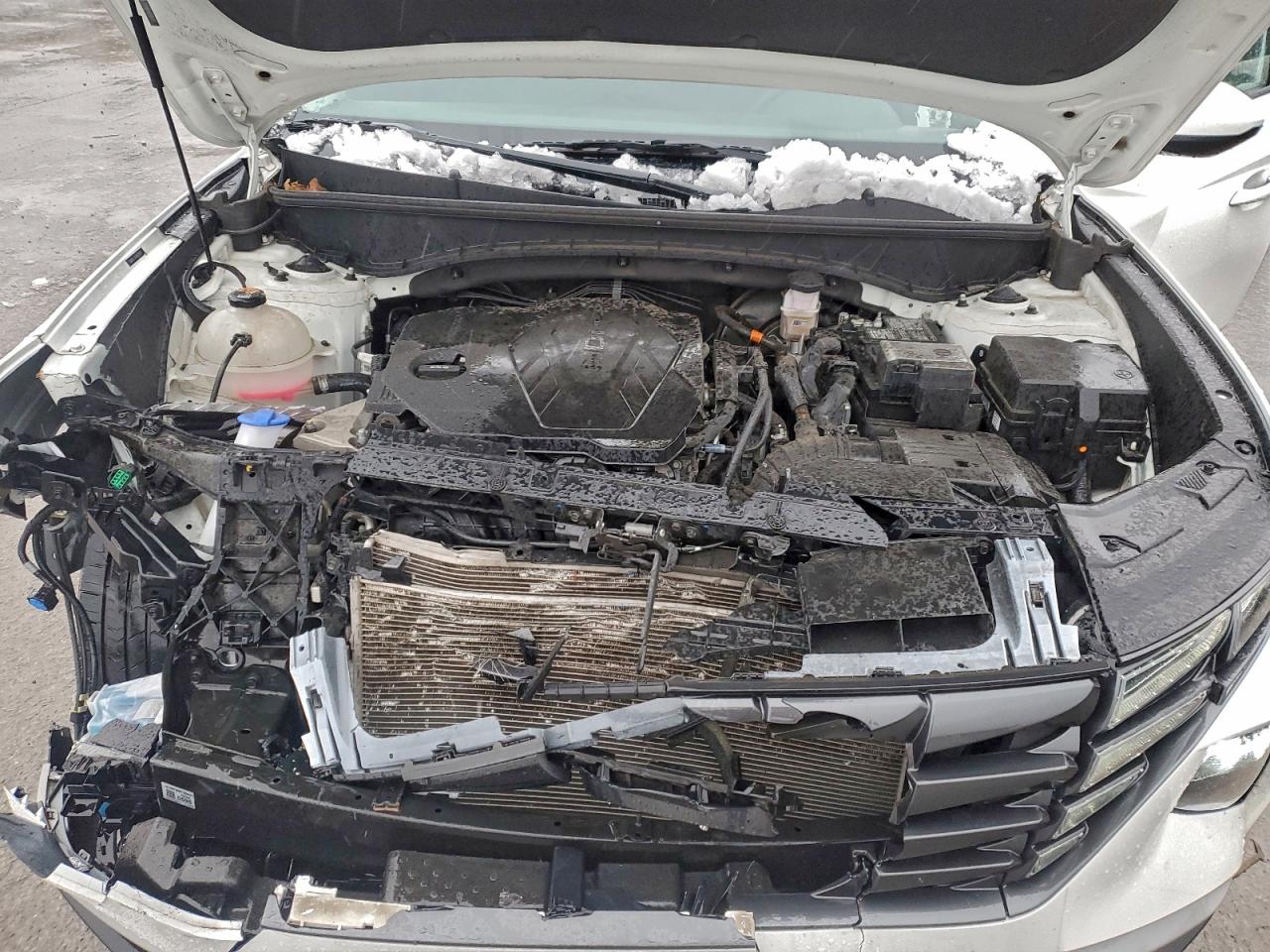 2023 Hyundai Tucson Se VIN: 5NMJACAE1PH273133 Lot: 96279665