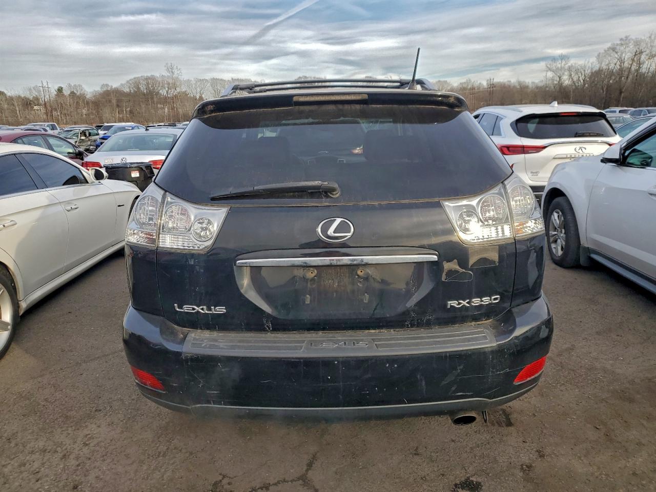 2004 Lexus Rx 330 VIN: 2T2HA31U04C035793 Lot: 95755145