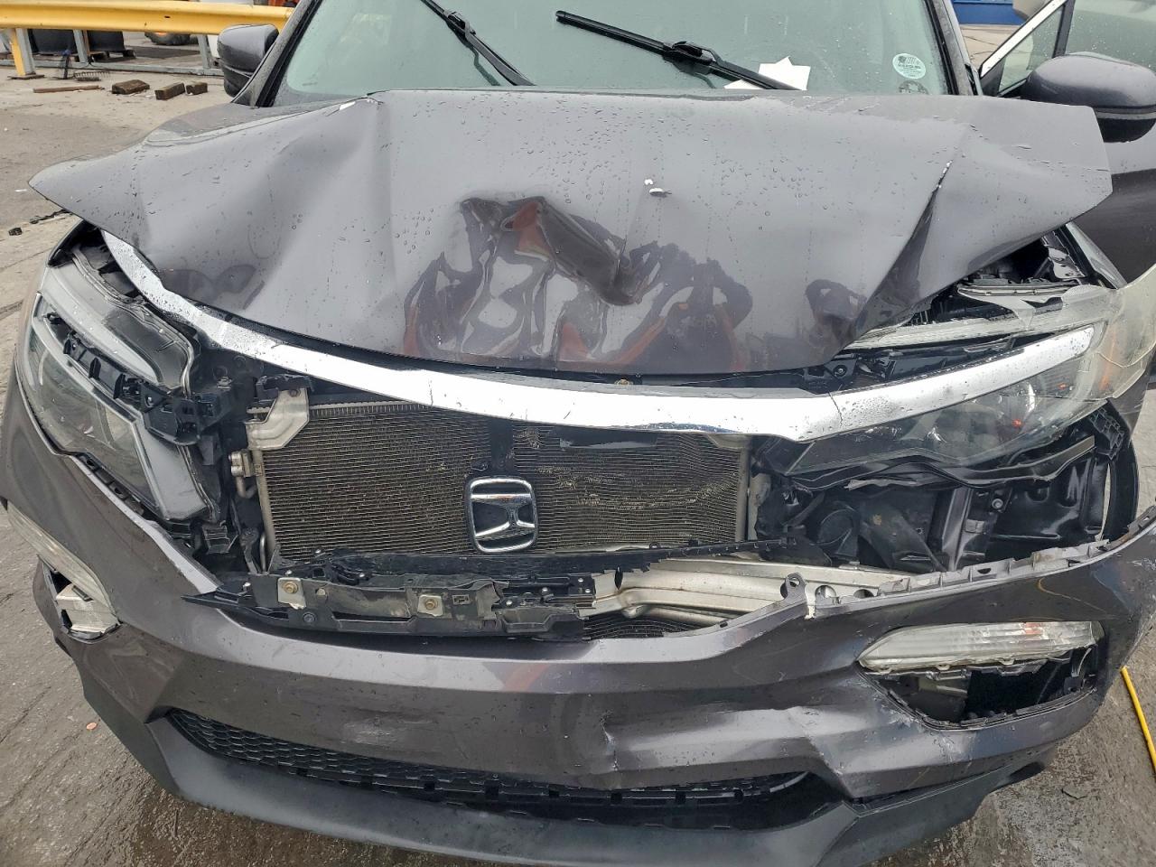 2017 Honda Pilot Exl VIN: 5FNYF5H58HB039009 Lot: 95526265