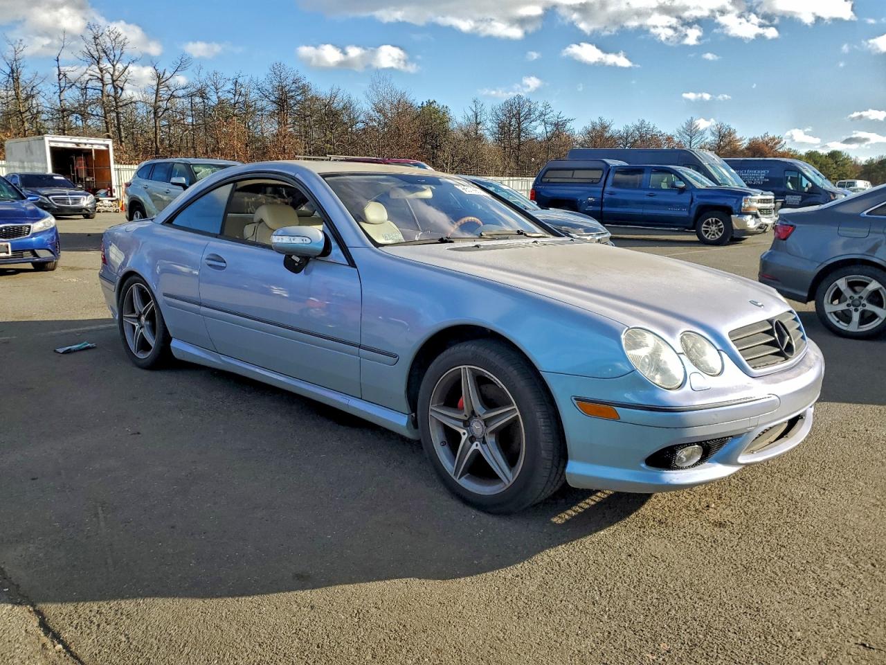 2005 Mercedes-Benz Cl 500 VIN: WDBPJ75J55A044517 Lot: 96519985