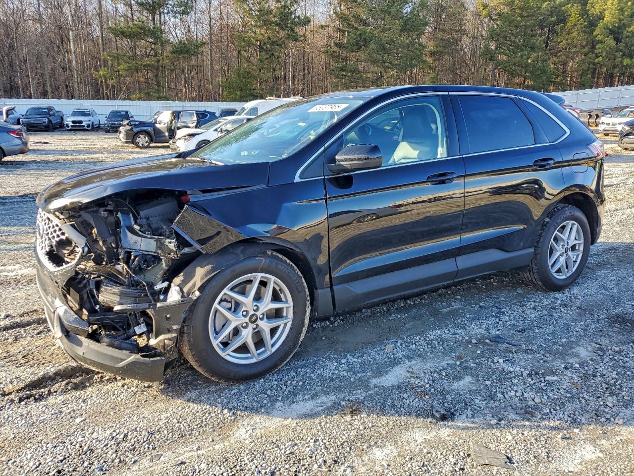 2024 Ford Edge Sel VIN: 2FMPK4J96RBA32455 Lot: 95337985