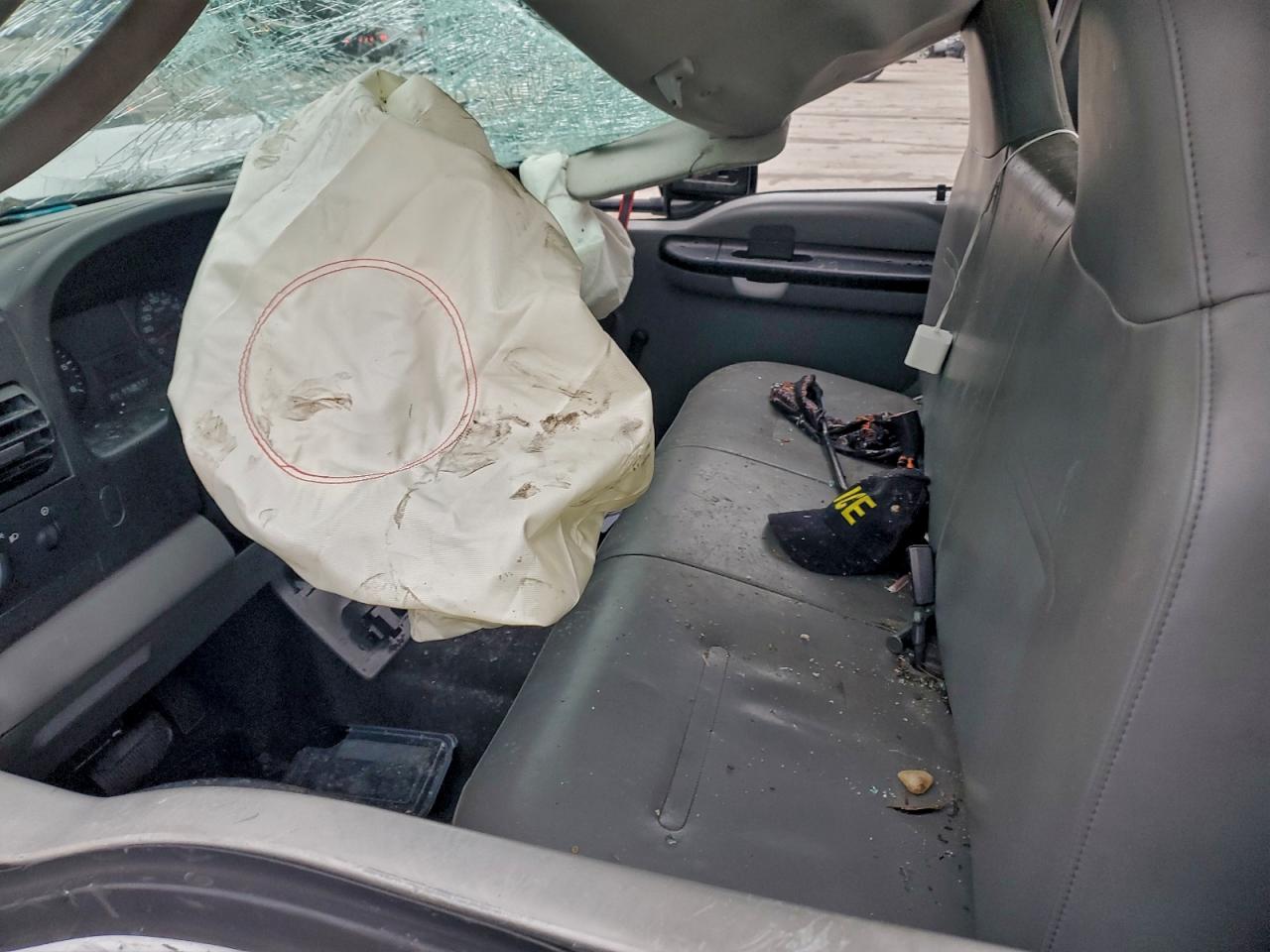 2006 Ford F250 Super Duty VIN: 1FTNF20556EC30074 Lot: 95358385