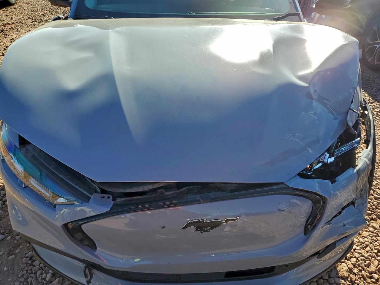 2024 Ford Mustang Mach-E Premium VIN: 3FMTK3R46RMA38868 Lot: 95068725