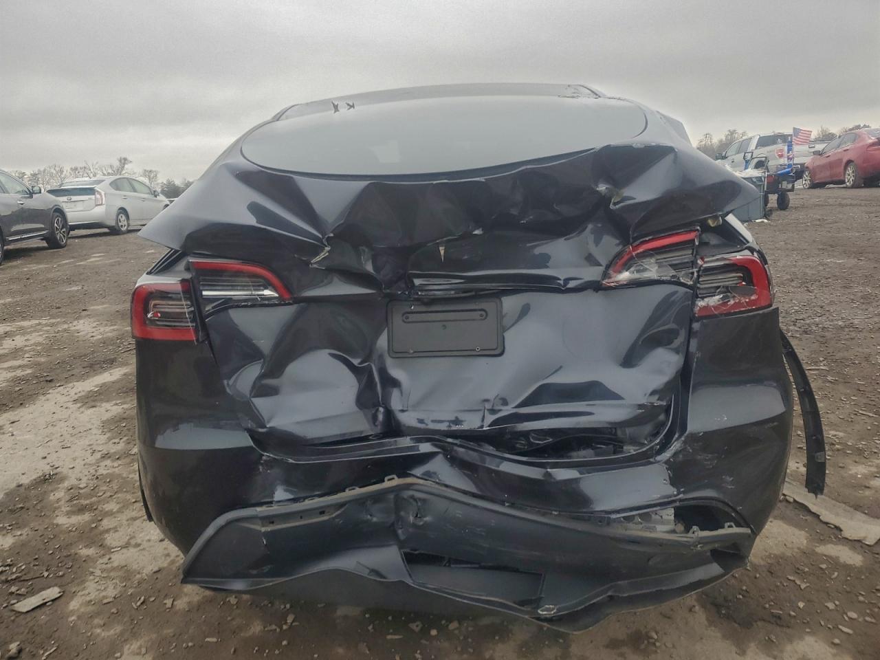 2024 Tesla Model Y VIN: 7SAYGDED3RF095933 Lot: 93995015