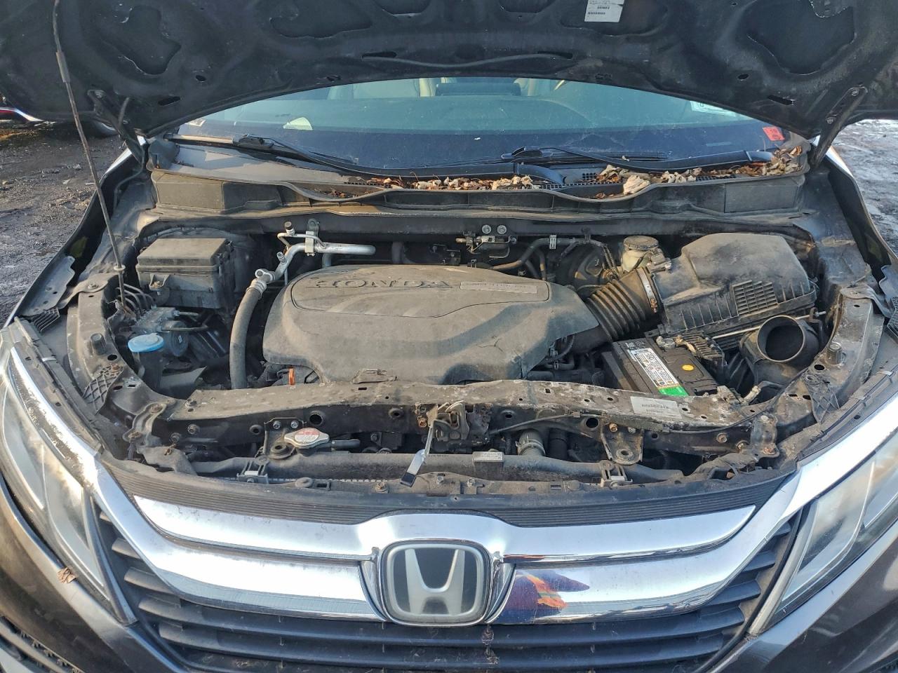 2018 Honda Odyssey Exl VIN: 5FNRL6H74JB080134 Lot: 97514645