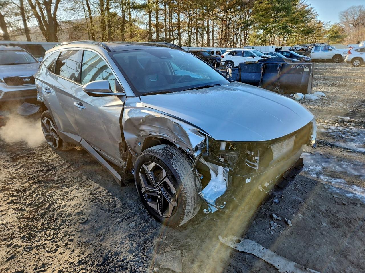 2024 Hyundai Tucson Limited VIN: 5NMJECDE7RH325268 Lot: 97105455