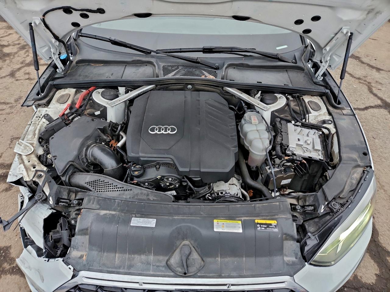 Фото: WAUDACF54MA003418