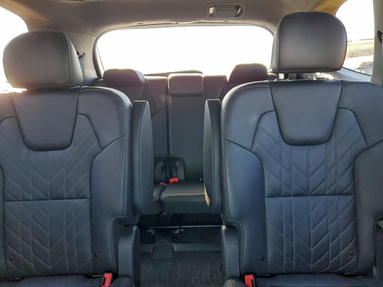 2023 Kia Telluride Sx VIN: 5XYP5DGCXPG338209 Lot: 94556525