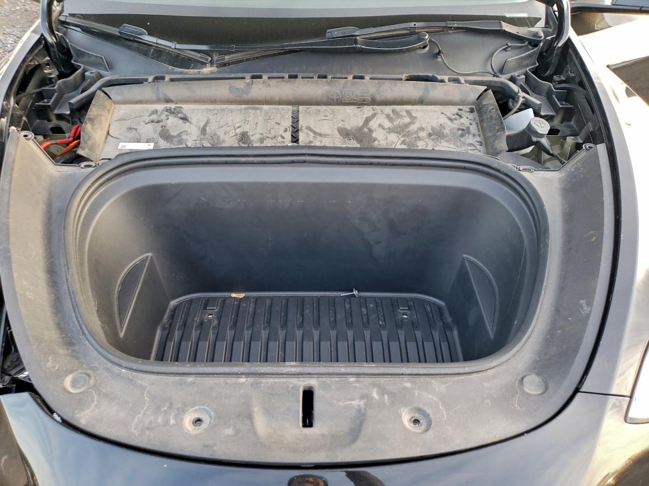 2023 Tesla Model Y VIN: 7SAYGDEE5PA124092 Lot: 94333795