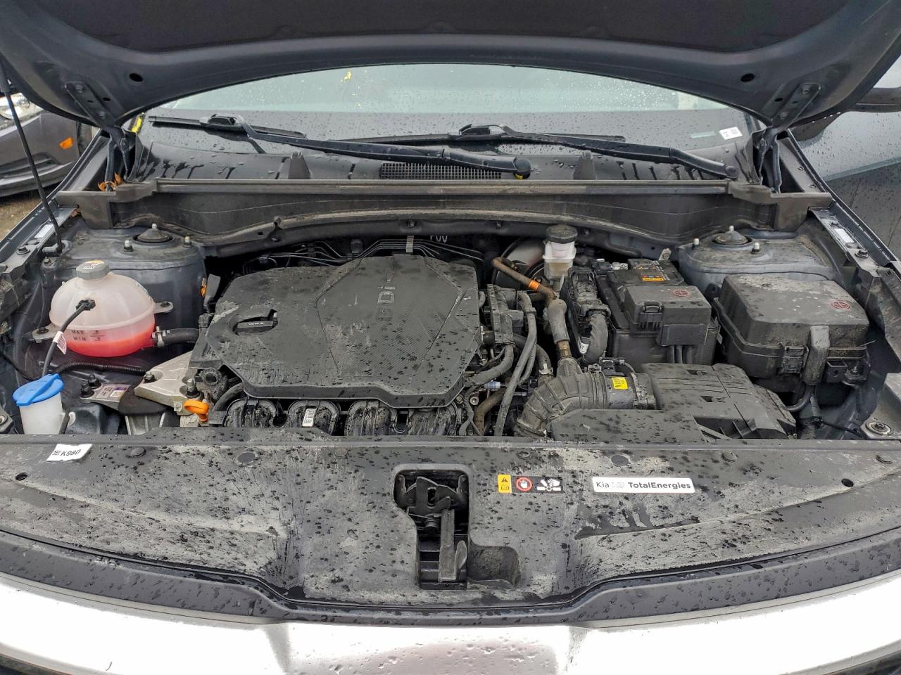 2024 Kia Sportage Lx VIN: KNDPUCDF0R7284592 Lot: 96355445