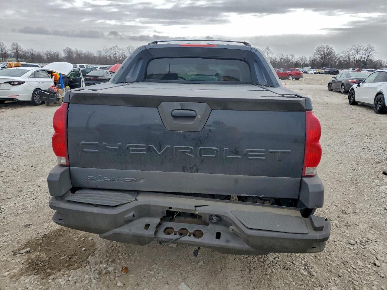 2003 Chevrolet Avalanche K1500 VIN: 3GNEK13T83G156919 Lot: 96038235