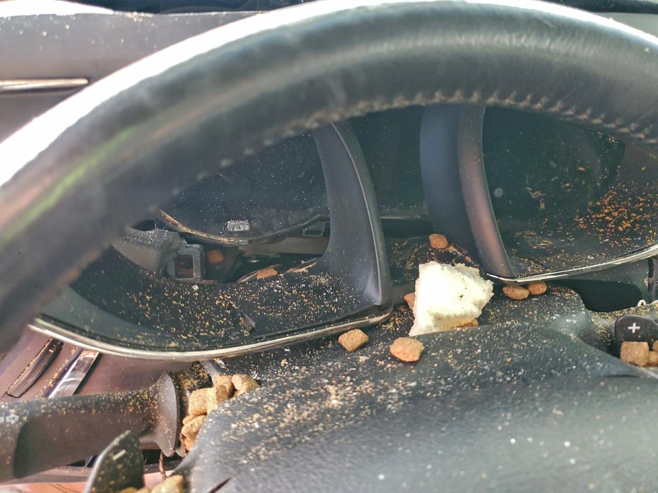 2016 Toyota Avalon Xle VIN: 4T1BK1EB2GU208236 Lot: 95210495