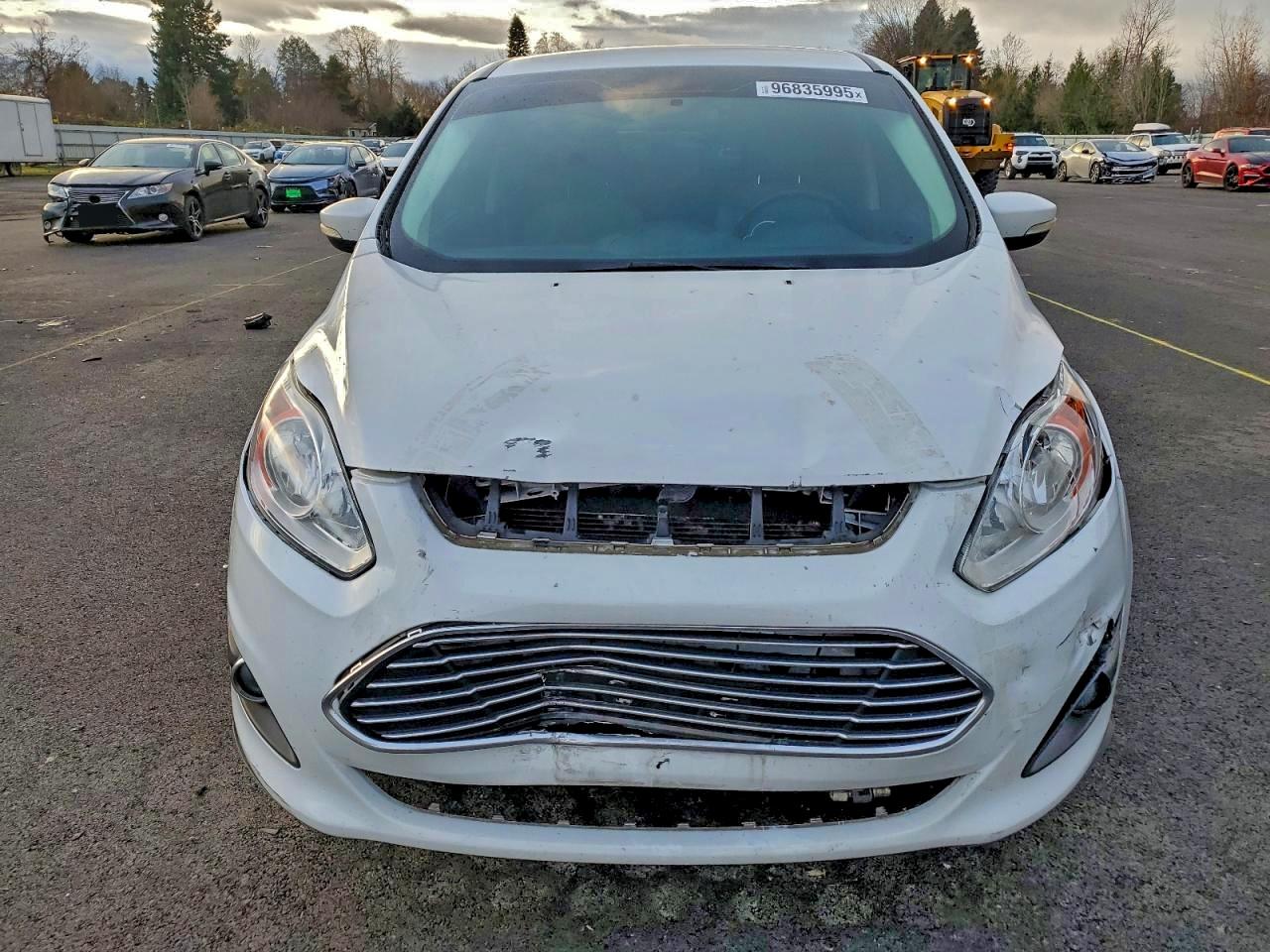 2016 Ford C-Max Se VIN: 1FADP5AU6GL117334 Lot: 96835995