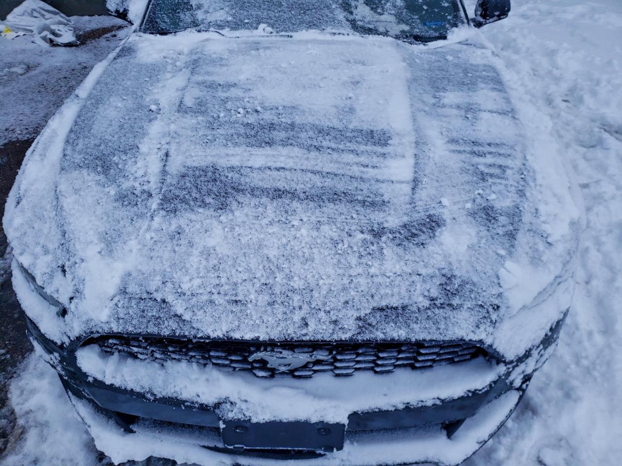 2016 Ford Mustang VIN: 1FATP8EM5G5307556 Lot: 95503865