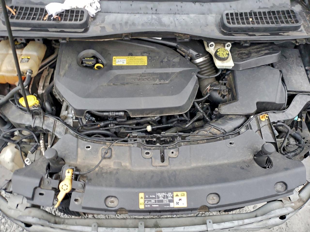 2013 Ford Escape Sel VIN: 1FMCU0HX9DUB25351 Lot: 95933845