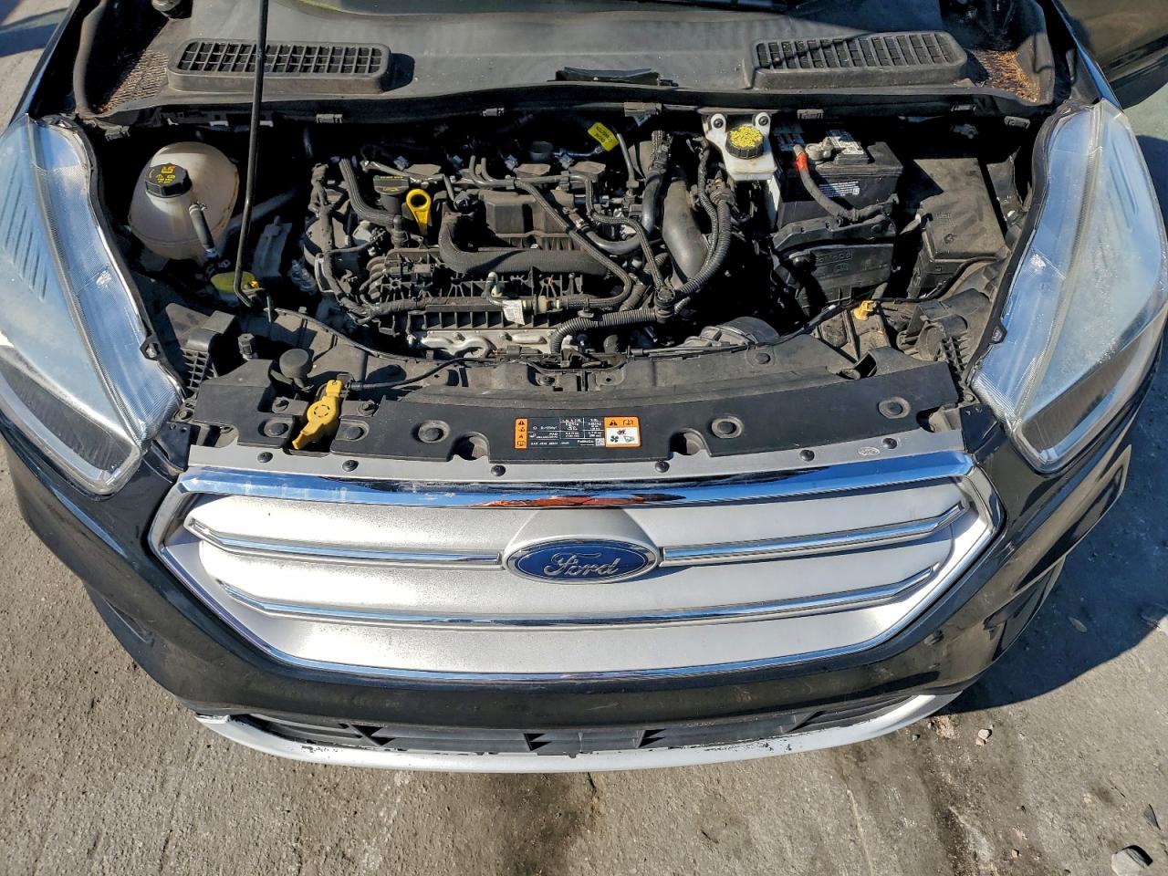 2019 Ford Escape Se VIN: 1FMCU0GD2KUA06982 Lot: 96941185