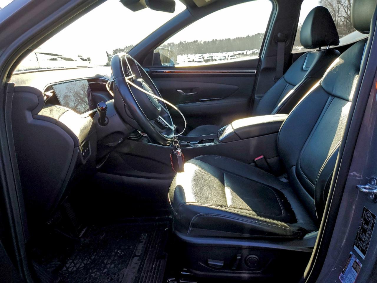 2024 Hyundai Santa Cruz Limited VIN: 5NTJEDDF7RH118186 Lot: 97158865