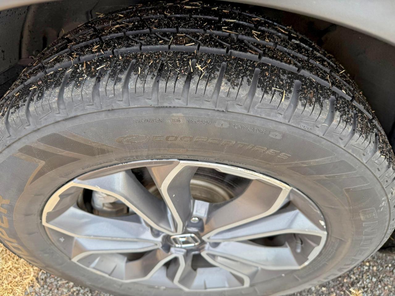 2022 Honda Cr-V Ex VIN: 5J6RT6H5XNL044119 Lot: 98324885