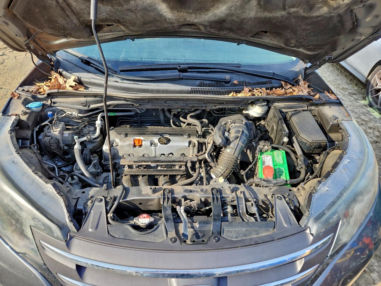 2014 Honda Cr-V Exl VIN: 5J6RM4H71EL077528 Lot: 95420445