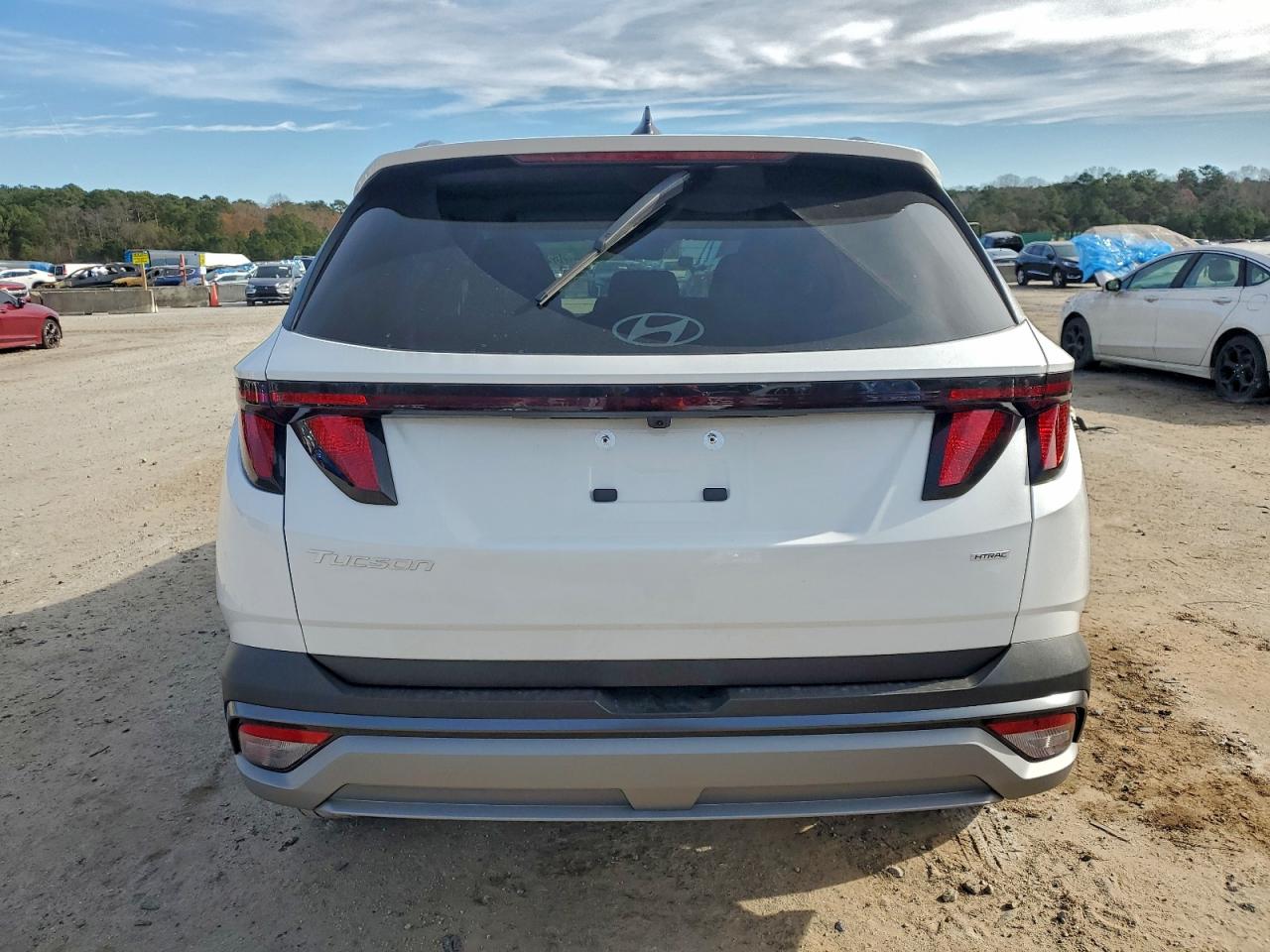 2026 Hyundai Tucson Sel VIN: 5NMJBCDE3TH638012 Lot: 96211895