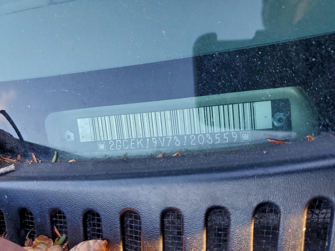 2003 Chevrolet Silverado K1500 VIN: 2GCEK19V731203559 Lot: 95903005